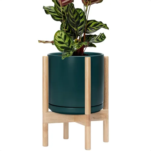 Vista 30 de D'vine Dev Maceta de cerámica con soporte de ébano – Maceta redonda moderna de 8 pulgadas con soporte para maceta de madera, color negro, 55-B-M-2