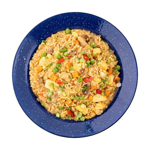 Vista 6 de Mountain House Teriyaki de pollo con arroz (2 porciones) Arroz frito con pollo (2 porciones) Alimentos liofilizados para mochileros
