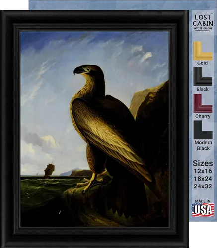 Vista 19 de Lost Cabin American Flamingo por James Audubon Impresión en marco biselado negro Reproducción de pintura de obras de arte finas Póster