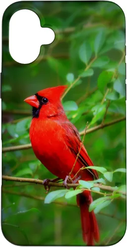 Vista 23 de Hermosa cardenal pájaro rojo escena de la naturaleza caso para iPhone 17