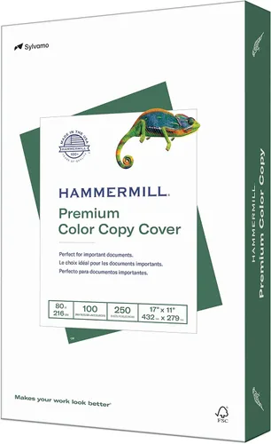 Vista 10 de Hammermill Cartulina, copia a color premium, 80 libras, 19 x 13 – 1 paquete (250 hojas) – 100 brillante, hecho en los Estados Unidos, cartulina