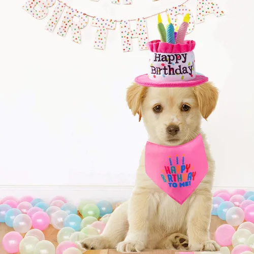 Vista 12 de Juego de sombreros y bufandas bandana para cachorros y gatos con velas coloridas azules para pequeños animes, suministros de fiesta de cumpleaños