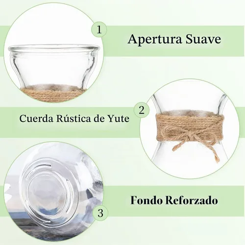 Vista 5 de Glasseam Jarrón de cristal transparente para flores, juego de 3 jarrones de bombilla para forzar bulbos de jacinto, pequeños jarrones decorativos
