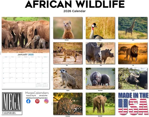 Vista 45 de Calendario de grises africanos 2025 2026 – Planificador mensual de pared de aves africanas – 12 x 18 pulgadas (abierto), calendario de pared