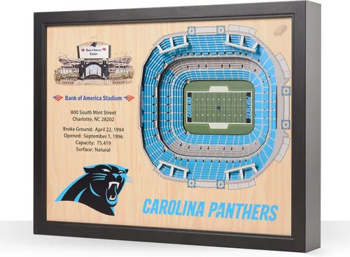 Vista 25 de YouTheFan NFL Arte de Pared StadiumView de 25 Capas