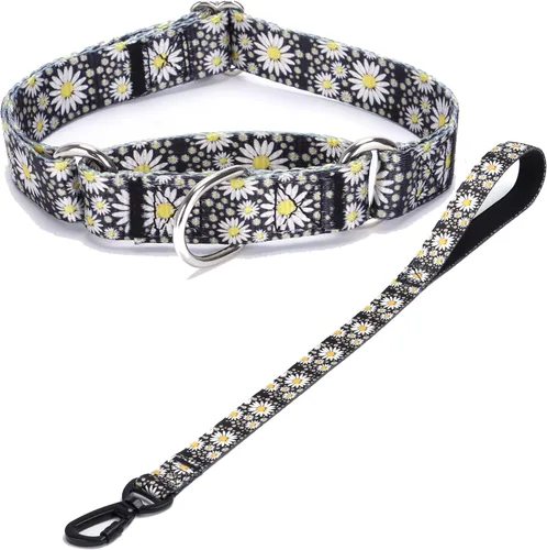 Vista 11 de Collar de perro de nailon resistente, collar ajustable de martingala para perros para caminar y entrenamiento para perros machos y hembras perros