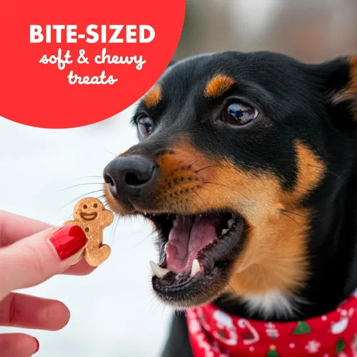 Vista 7 de Buddy Softies - Golosinas suaves y masticables para perros con pan de jengibre, bolsa de 6 onzas