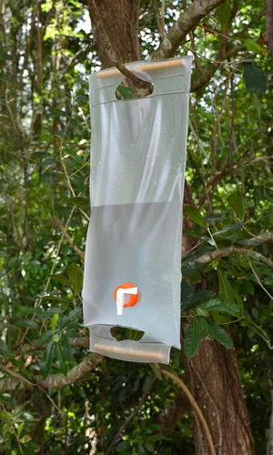 Vista 5 de ust Transportador de agua plegable enrollable de 10 litros con asas de madera y sin BPA, construcción transparente para beber, bañarse, acampar