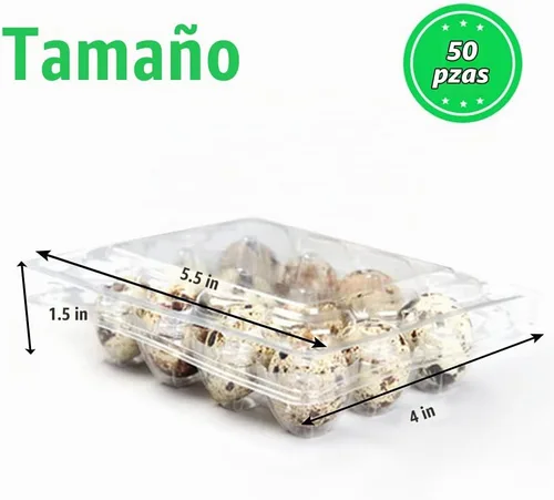 Vista 2 de 50 cajas de huevos de codorniz, 12 rejillas de almacenamiento de huevos pequeños, bandejas de cartón a granel para huevos pequeños, codorniz