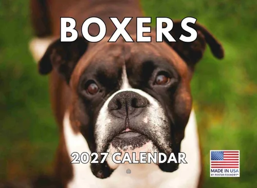 Vista 130 de Calendario mensual de pared Airedale Terrier Dog 2027