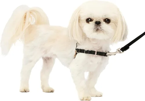Vista 56 de PetSafe Easy Walk - Arnés para perro, sin tirones, gris carbón Carbón/Negro