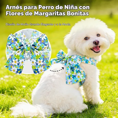 Vista 2 de BAEJMJK Juego de arnés y correa para perro con lazo sin tirones, arnés floral de margaritas para mascotas con anillo en D, chaleco de arnés de malla
