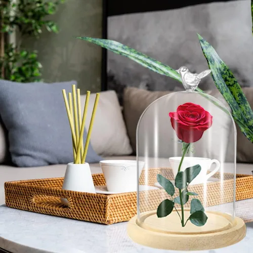 Vista 2 de Vitrina de cristal transparente con mango de pájaro, base de madera, tarro de vidrio transparente con base de bambú