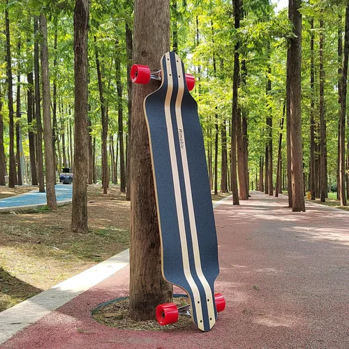 Vista 3 de Longboard completo de 41 pulgadas