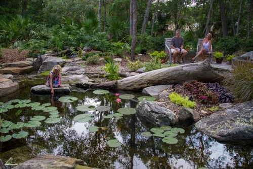 Vista 5 de Revestimientos Aquascape AQSC para arroyos o cursos de agua