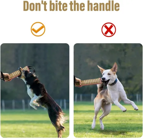 Vista 5 de Juguetes interactivos de agua para perros