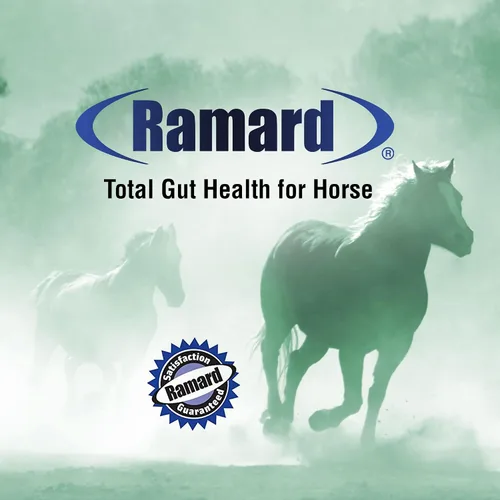 Vista 6 de Ramard Total Gut Health Equine Digestive Support - Suplemento de salud intestinal equino probióticos para caballos, vitaminas intestinales