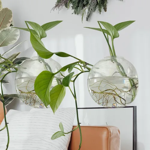 Vista 5 de Wall Hanging Hydroponic Glass Planter Vase 15cm Hanging Flower Pot with No-Trace Nail for Indoor Greenery and Succulent Propagation