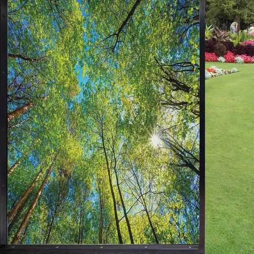 Vista 20 de Película decorativa de privacidad para ventana, control de calor, bloqueo solar, protección UV, diseño de bosque de abedul, adherencia estática