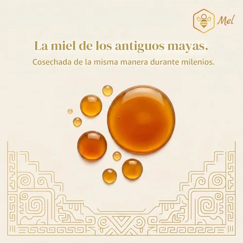 Vista 2 de Miel Melipona Miel de Abeja Sin Aguijón (10 ML)