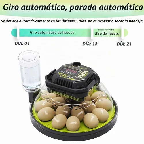 Vista 3 de Incubadoras de huevos para incubar huevos, control de temperatura y humedad
