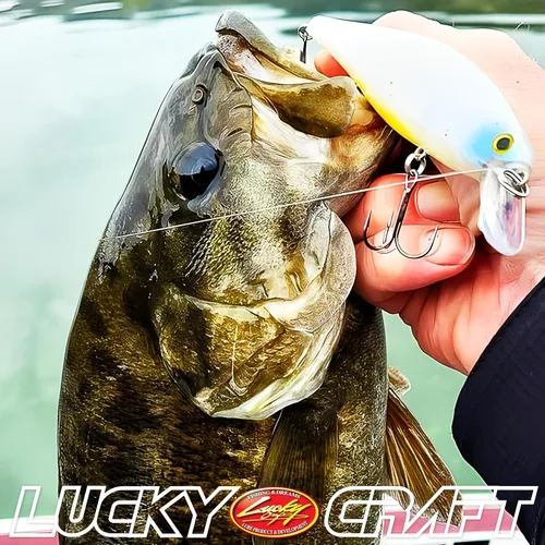Vista 6 de LUCKY CRAFT Pointer 128SP, Señuelo de Pesca de Lubina de Lago de Agua Dulce, Jerkbait, Suspendido, Aparejos de Pesca, Accesorios de Pesca, Equipo