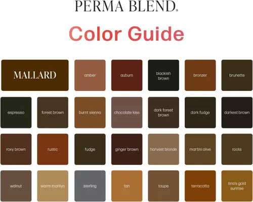 Vista 4 de Perma Blend Cool Eyebrow Mini Set – Tinta de tatuaje de PMU vegana para cejas y delineador de ojos – Suministros de microcaldera para maquillaje