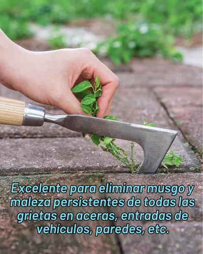 Vista 2 de Herramienta ligera de acero inoxidable para deshierbar grietas
