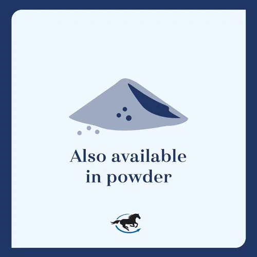 Vista 6 de Gut™ Pellets Probióticos intestinales saludables para caballos Prebiótico equino y probiótico Suplemento para estómago de caballo 2.7 libras
