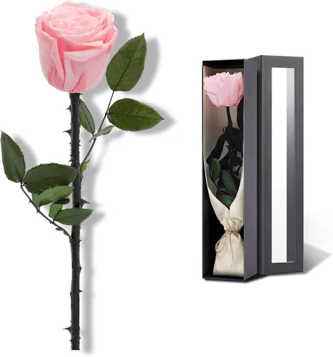 Vista 13 de Flores para Entrega Prime, Rosas Preservadas Regalos de Flores para Mujeres, Rosas Reales Regalos de Rosa Individual para Ella, Regalos