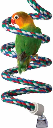 Vista 10 de Super Bird Creations - SB326 Juguete Bungee de pájaro grande a XL - Percha de cuerda para Amazonas, grises africanos, cacatúas, loros - Perca