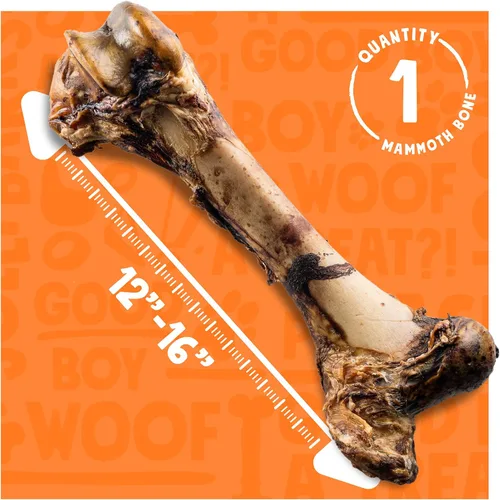 Vista 6 de Mammoth - Hueso de perro grande para perros grandes, hueso de fémur de carne de res natural de 16 pulgadas, masticable de larga duración
