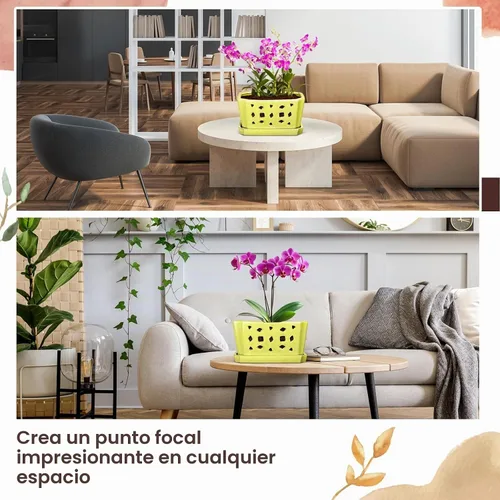 Vista 7 de Teenyyou - Maceta de orquídea de cerámica de 9.5 pulgadas con platillo para Amarillo