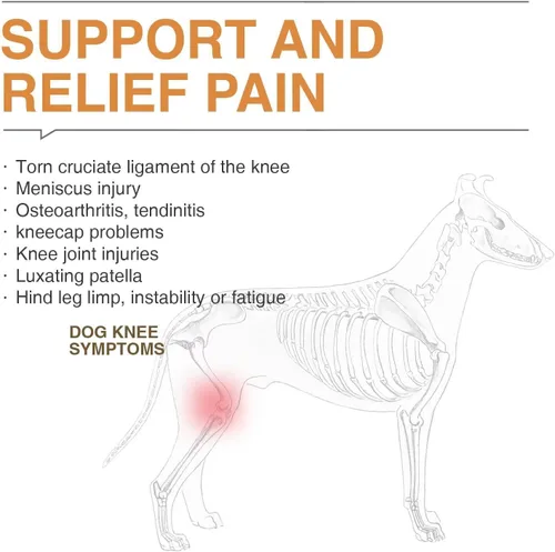 Vista 4 de Rodillera para perro para pierna trasera desgarrada ACL/CCL, soporte ajustable con suficiente envoltura y soporte y rótula luxante, soporte