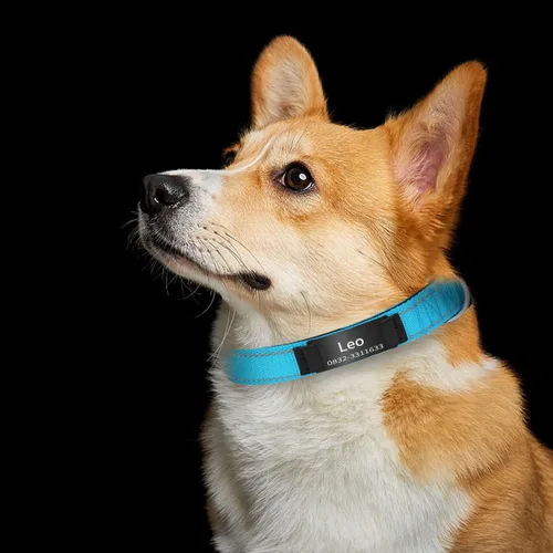 Vista 5 de Collares reflectantes personalizados para perro, collar de identificación de acero inoxidable grabado personalizado, collar de identificación
