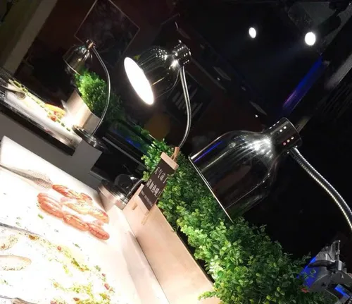 Vista 4 de KOUDA Lámpara de calor de alimentos de una sola bombilla Restaurante Calentador de alimentos Luz Lámparas de calefacción portátiles (un solo brazo)
