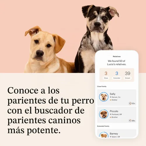 Vista 7 de Wisdom Panel Premium Kit de ADN para perros: más completo con más de 265 pruebas de salud, identifica más de 365 razas de perros, más de 50 rasgos