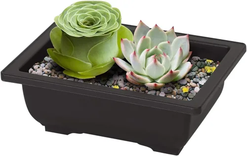 Vista 4 de MANCHAP 24 macetas de entrenamiento de bonsái de plástico de 6.5 pulgadas, maceta rectangular para jardín, patio, oficina, decoración del hogar