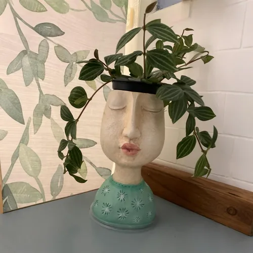 Vista 5 de DiliComing Macetas de Cara de Resina - Maceta de 8 Pulgadas para Interiores y Exteriores con Orificio de Drenaje para Plantas Suculentas, Decoración