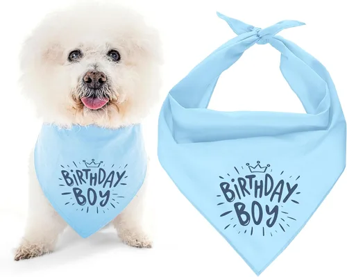 Vista 19 de Parisian Pet Bandanas naranjas para perros – Bandana ajustable para cachorros – Accesorios para perros para niños y niñas – Pañuelo para perros Best