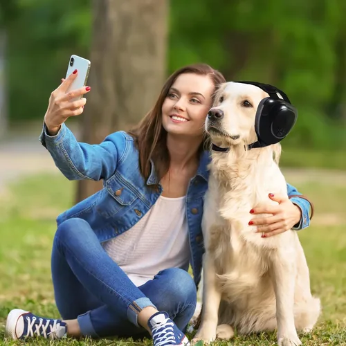 Vista 6 de Funda para Orejas de Perro, Orejeras para Perros con Protección contra el Ruido, Orejeras para Perros con Cancelación de Ruido de 29dB NRR