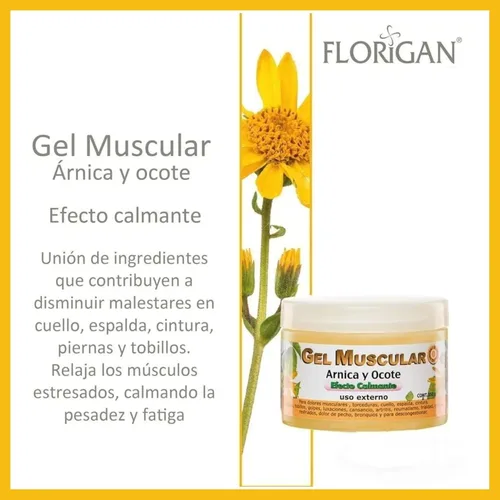 Vista 3 de Gel muscular con extractos de manzanilla y pino Ocote 350grs. (1 unidad)