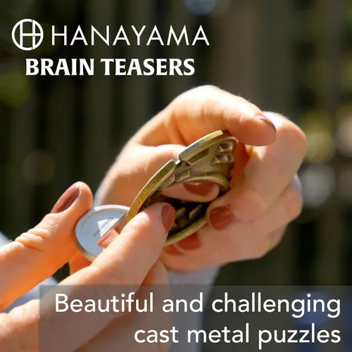 Vista 2 de Rompecabezas de metal fundido para el cerebro Equa Hanayama (nivel 6)
