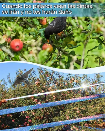 Vista 5 de 2 cintas de 502 pies para asustar pájaros, cinta holográfica reflectante de doble cara, dispositivos repelentes de pájaros audibles visuales