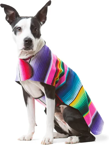 Vista 8 de Poncho de perro hecho a mano de Authentic Mexican Blanket; ropa para perros, suéter, abrigo, XXS