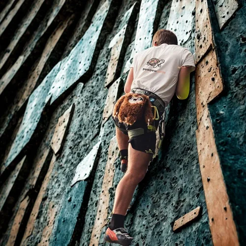 Vista 5 de Bonita bolsa de tiza para levantar, gimnasio y escalada en roca, cubo grande de tiza con cinturón ajustable, bolsa de polvo de agarre para boulder