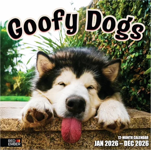 Vista 24 de RED EMBER Calendario de pared Doggy Disasters 2027 de 12 meses 01 - Perros traviesos
