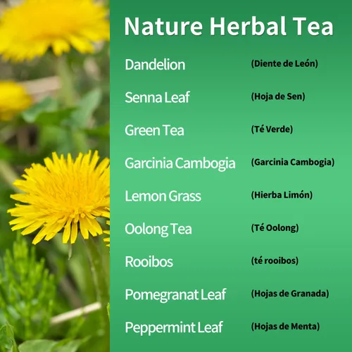 Vista 5 de Herbmood Té de desintoxicación de 30 días para limpieza corporal, Te de Diente de Leon y cola de caballo Organico Natural, Limpieza de colon