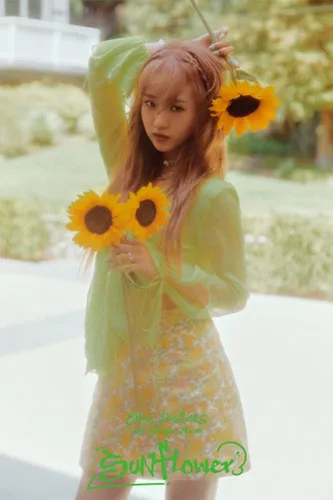 Vista 5 de DREAMUS WEKI MEKI Choi YooJung Girasol 1er Single Album Plataforma Versión Tarjetero+álbum de tarjeta fotográfica de PVC+Photocard+Folleto