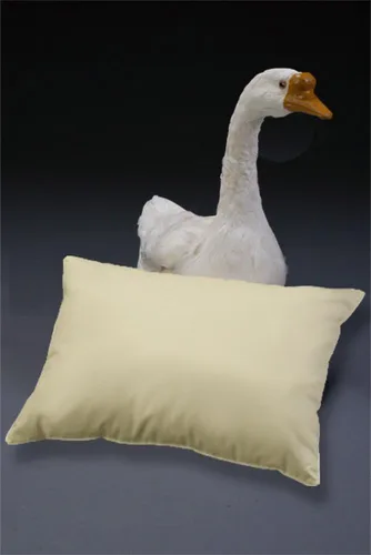 Vista 2 de Almohada de viaje con 800 relleno de plumón de ganso europeo elevado éticamente, hipoalergénica, 100% algodón acabado en Austria, fabricado